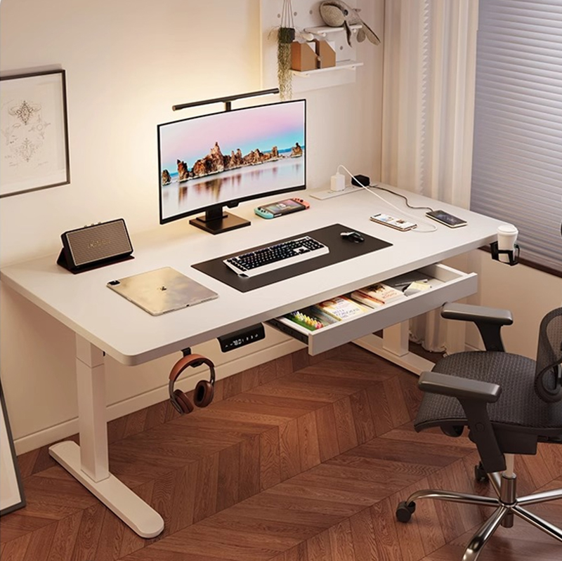 Modern Iron Dual Motor Electri - Desk Setup Office recension och pris